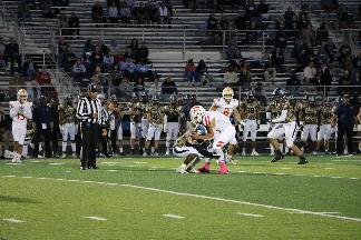 October 11 2019 IMG_2079108